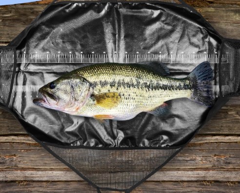 Photographed Fishing Unhooking - Fishing Belt recensie en prijs